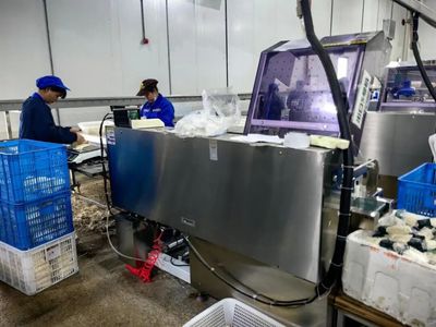 機(jī)械化助力食用菌產(chǎn)業(yè)化生產(chǎn) 為鄉(xiāng)村振興撐開“致富傘”